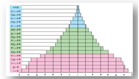 گروه های عمده سنی جمعیت