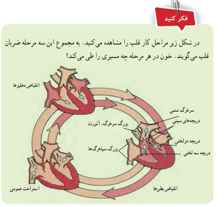 فکر کنید صفحه 121 علوم هفتم