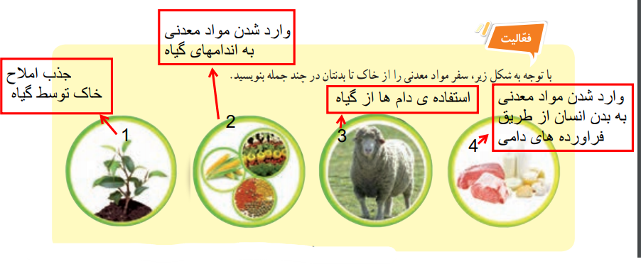 جواب فعالیت صفحه 108 علوم هفتم