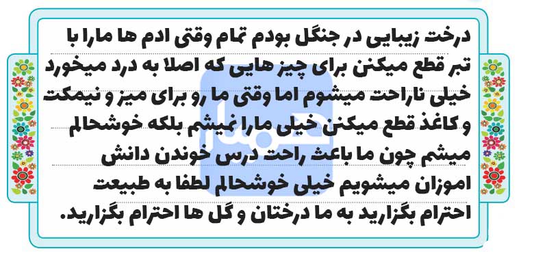سرنوشت درختی را که امروز تبدیل به میز و نیمکت شده