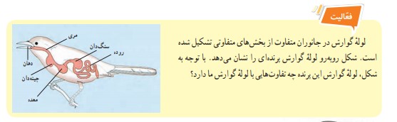 فعالیت صفحه 112 علوم هفتم