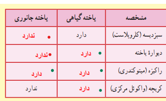 جواب فعالیت صفحه 98 علوم هفتم