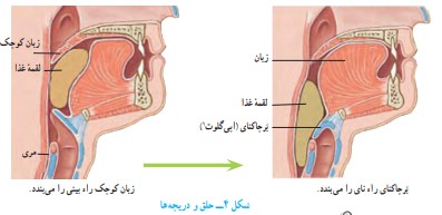 فکر کنید صفحه 113 علوم هفتم