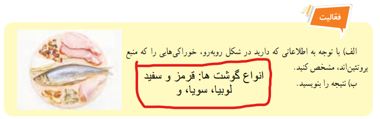 جواب فعالیت صفحه 105 علوم هفتم