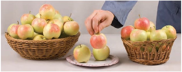 ایستگاه فکر پایین صفحه ۸۵ علوم دوم دبستان