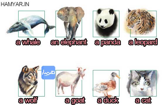 جواب صفحه 18 درس اول زبان دهم