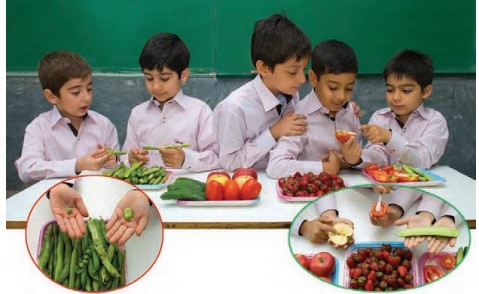 کار در کلاس صفحه ۶۵ علوم دوم دبستان