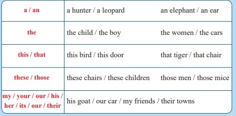 جواب صفحه 39 درس اول انگلیسی دهم