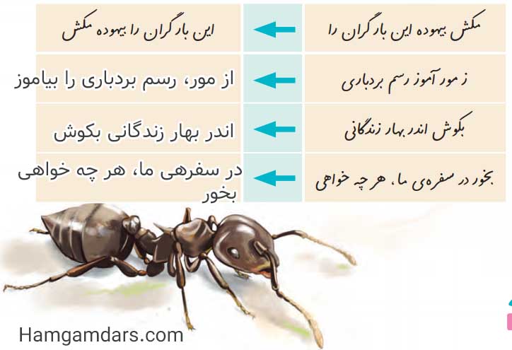 جواب صفحه 90 نگارش پنجم