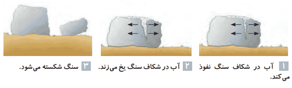 جواب گفت‌وگو صفحه ۸۳ علوم پنجم ابتدایی