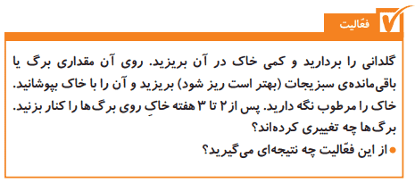 جواب فعالیت صفحه ۸۵ علوم پنجم ابتدایی