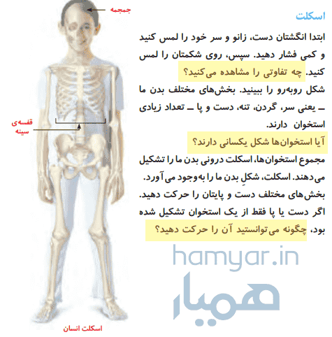 جواب سوالات صفحه ۳۹ علوم پنجم ابتدایی